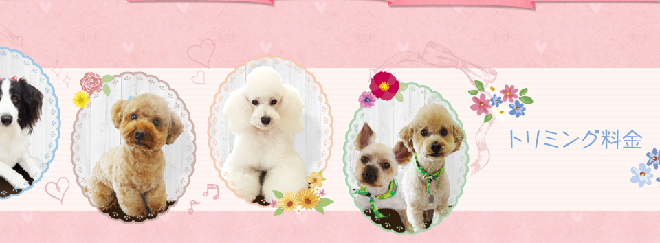 トリミング料金