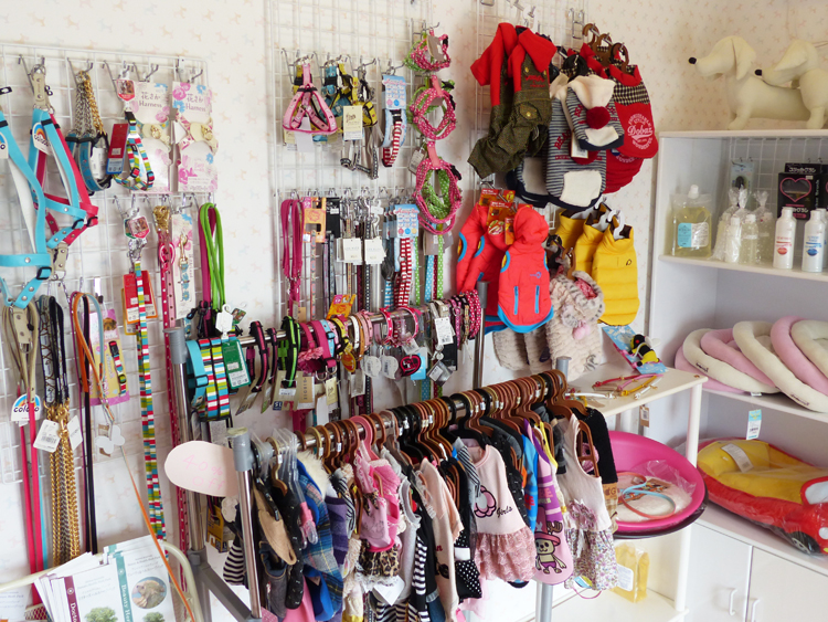 ドッグサロン　アクア